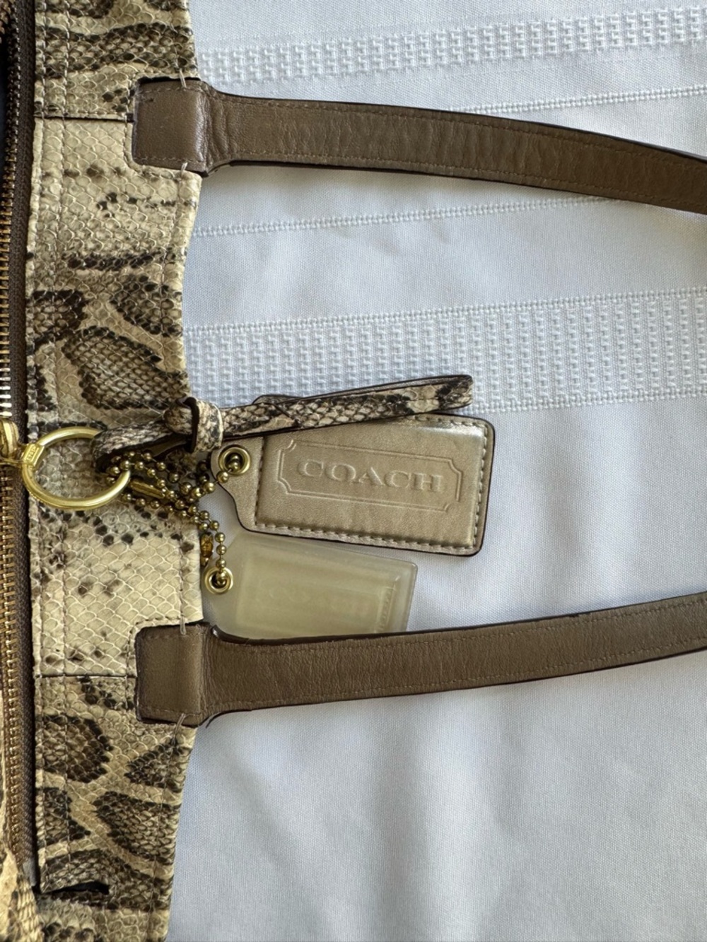 Coach 2011 Audrey Slim Tote bag in cream leather with snakeskin accents & trim - Picture 7 of 12